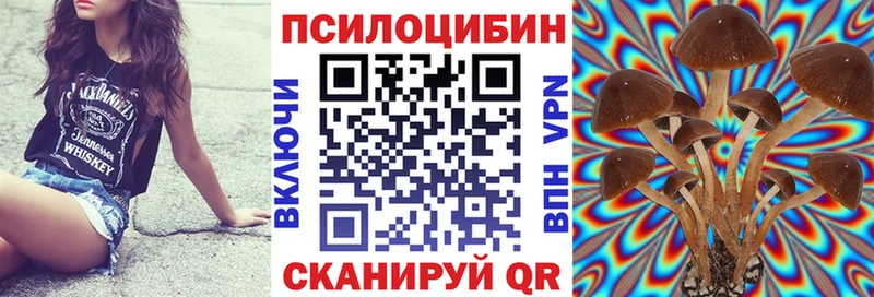 Галлюциногенные грибы Psilocybe  маркетплейс клад  Лысьва  даркнет сайт 